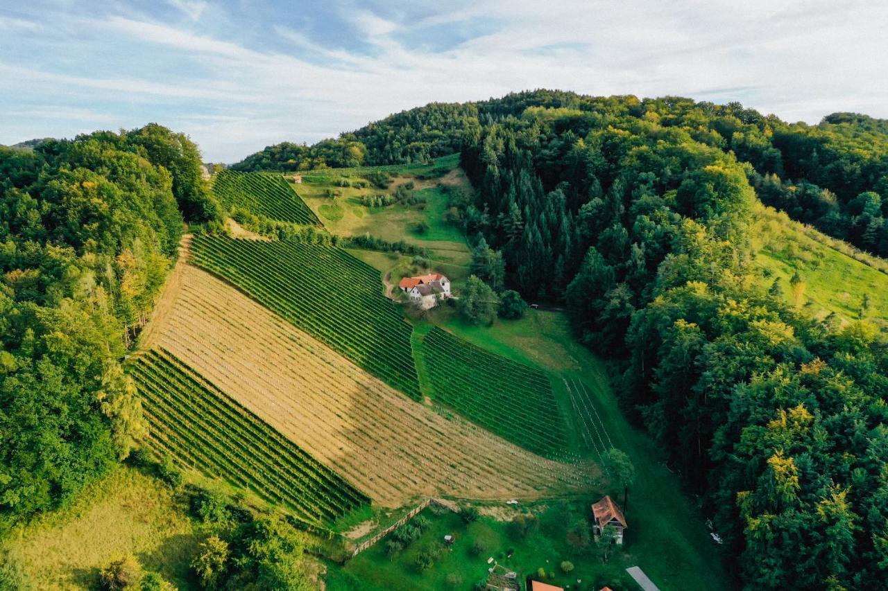 Winzerhof Strablegg Villa Grossklein ภายนอก รูปภาพ